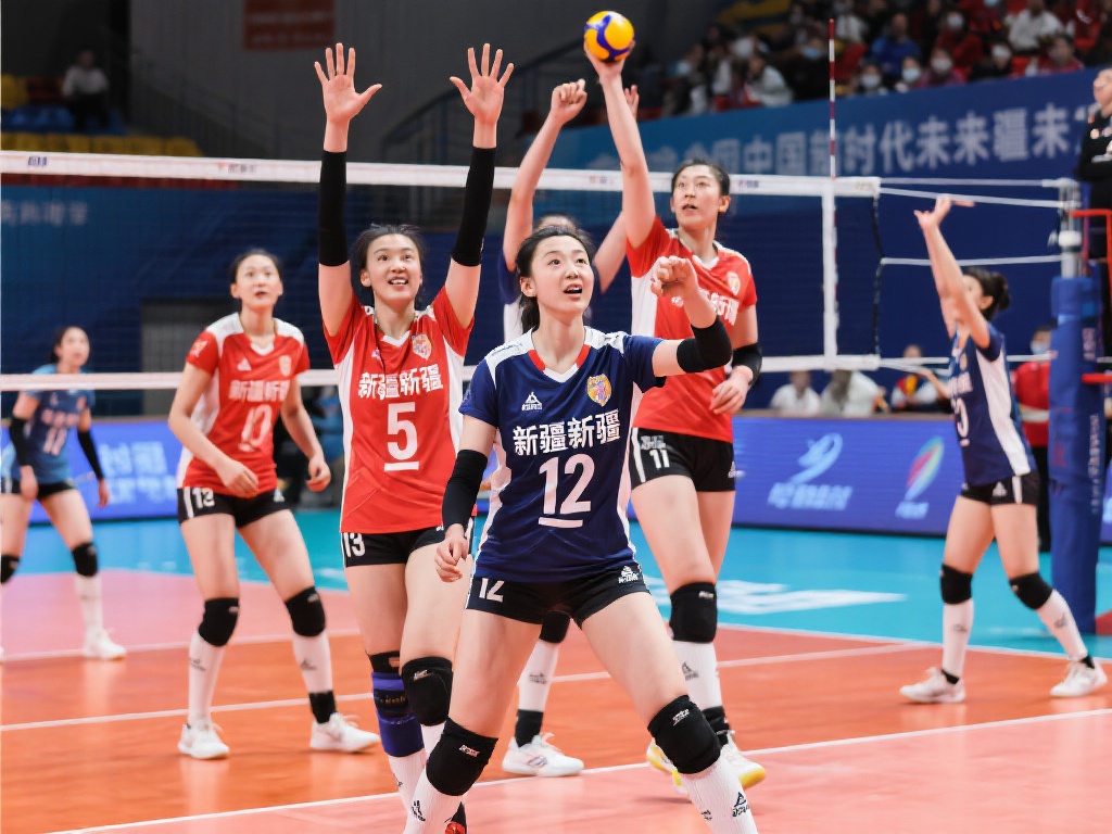 年轻化阵容 年轻化阵容